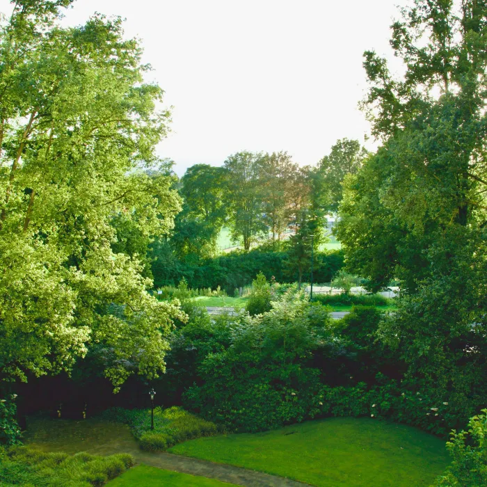 Eine andere Perspektive des gleichen ruhigen Hinterhofs, aufgenommen nachdem der Landschaftsgärtner hier alles neu gepflanzt und gegossen hat.