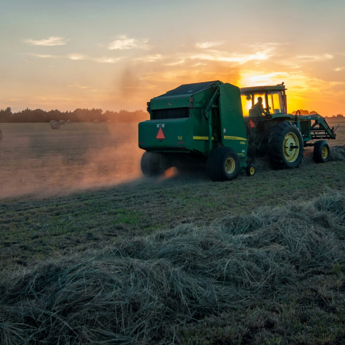 Landwirt im Mähdrescher fährt bei Sonnenuntergang über das Feld