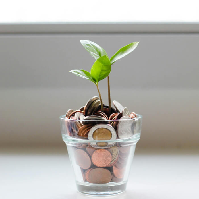 Ein Glas gefüllt mit Geld, aus dem eine Blume wächst. (Symbolbild für die Vermehrung von Geld durch einen Finanzberater)